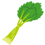 vegetable_celery