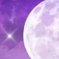 purple-1435145_1280-2